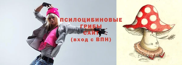 ГАЛЛЮЦИНОГЕННЫЕ ГРИБЫ Алексеевка
