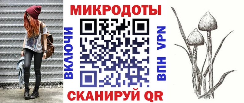 закладки  Слюдянка  Псилоцибиновые грибы Cubensis 